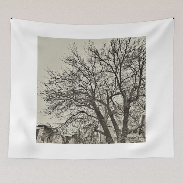 Item preview, Leafless Tree Against The Sky (Black And White) designed and sold by Alex Roman.
