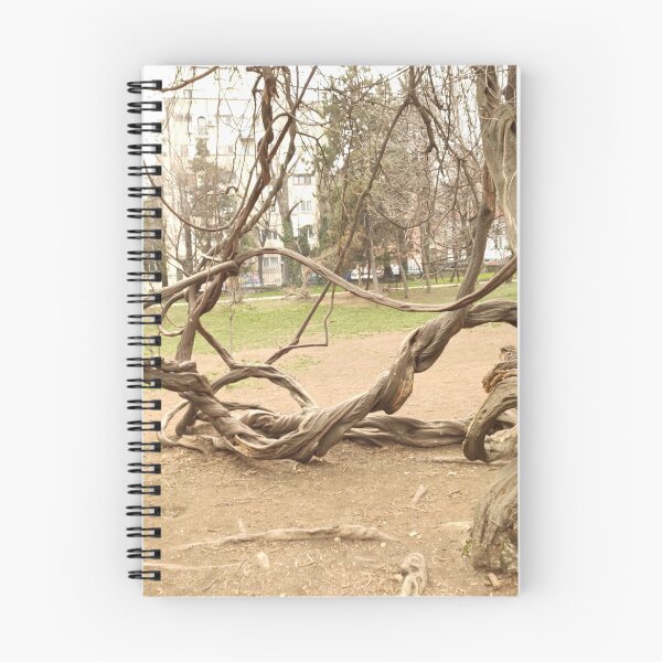 Item preview, Twisted Branches designed and sold by Alex Roman.
