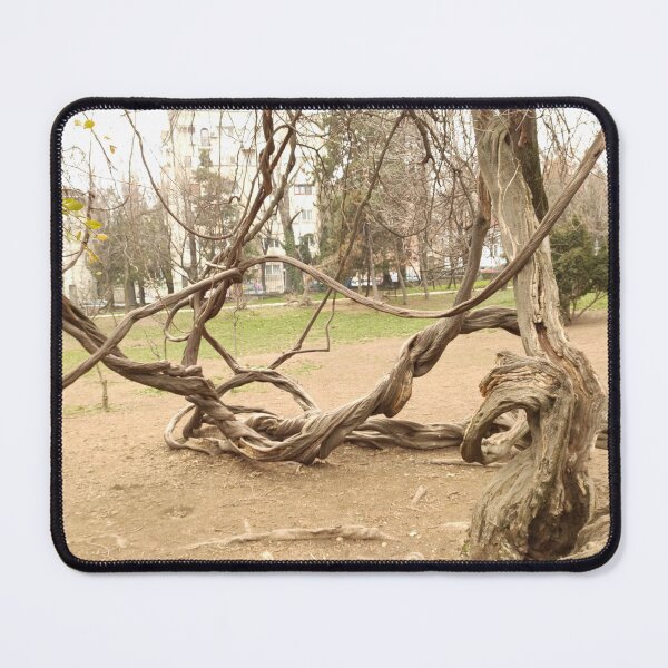 Item preview, Twisted Branches designed and sold by Alex Roman.