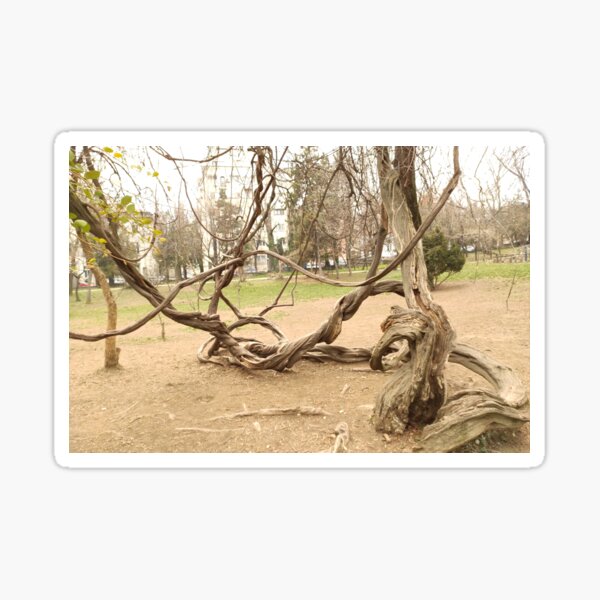 Item preview, Twisted Branches designed and sold by Alex Roman.
