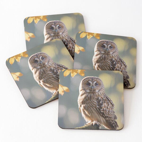 Item preview, The tawny owl designed and sold by AGaymard.
