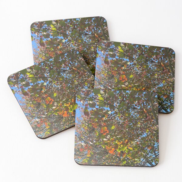 Item preview, Fall Leaves designed and sold by Lauracolleen3.