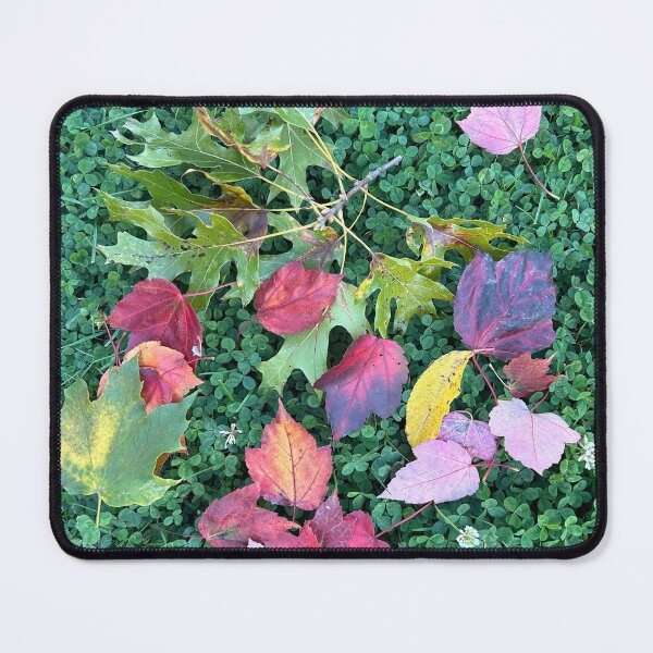 Item preview, Fall leaves in clovers designed and sold by Lauracolleen3.