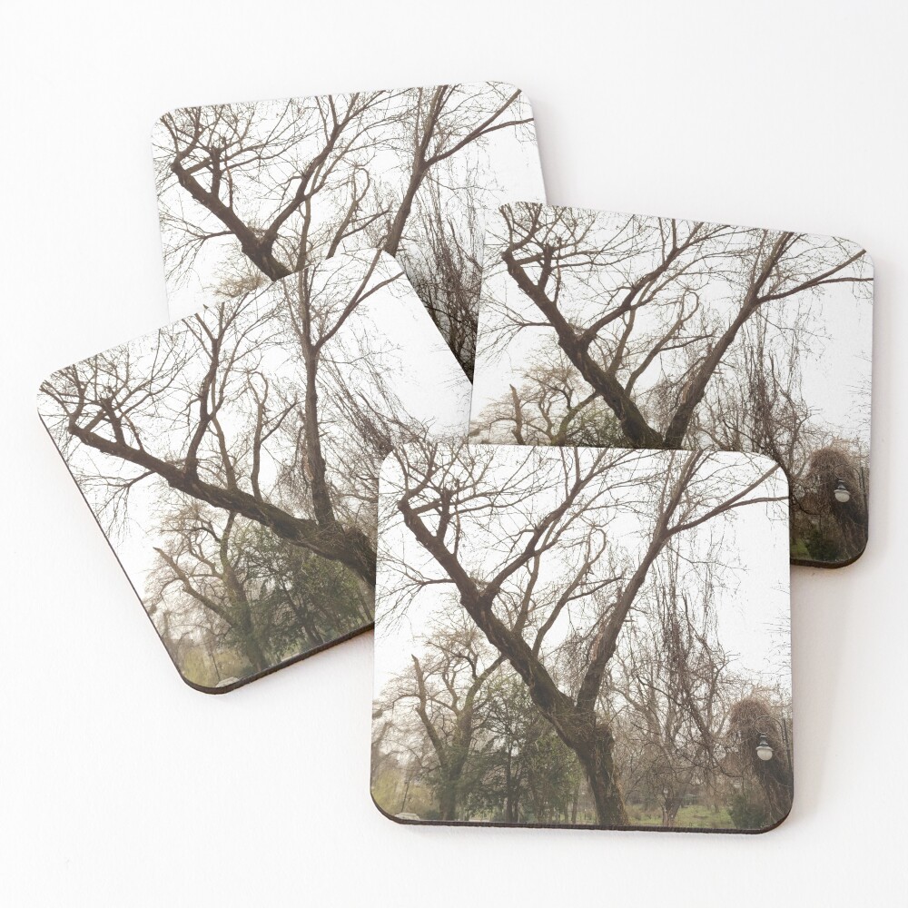 Item preview, Coasters (Set of 4) designed and sold by AlexRomanDesign.