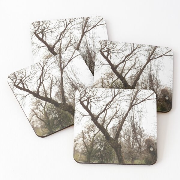 Item preview, Leafless Tree In Park  designed and sold by Alex Roman.