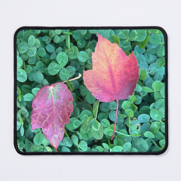 Item preview, Fall leaves on clovers designed and sold by Lauracolleen3.