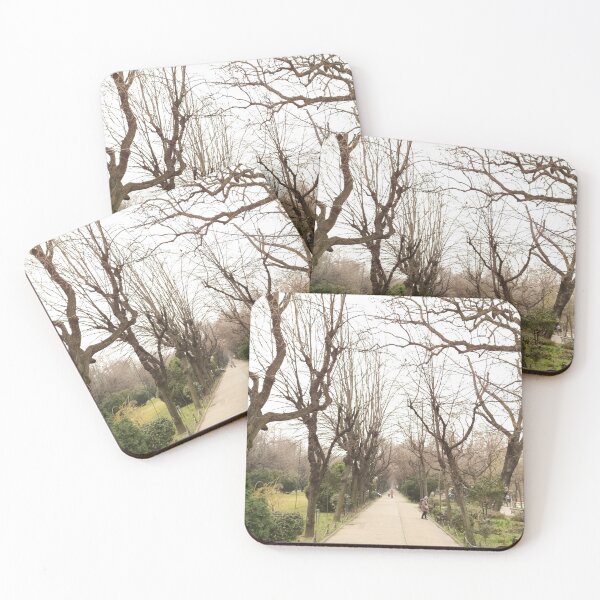Item preview, Leafless Trees Along A Park Alley designed and sold by Alex Roman.