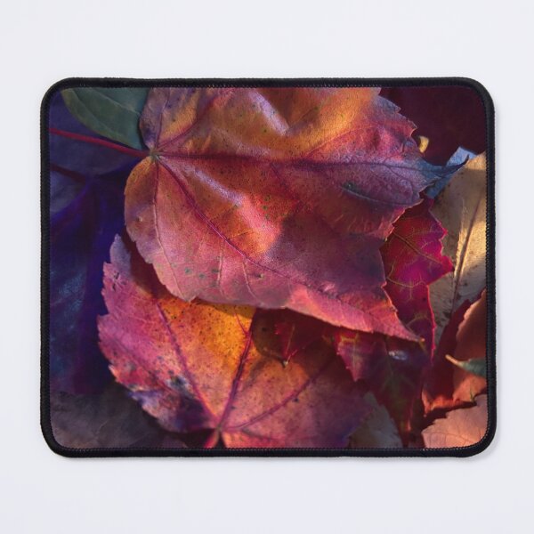 Item preview, Fall leaves designed and sold by Lauracolleen3.