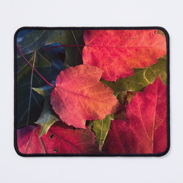 Item preview, Fall leaves designed and sold by Lauracolleen3.