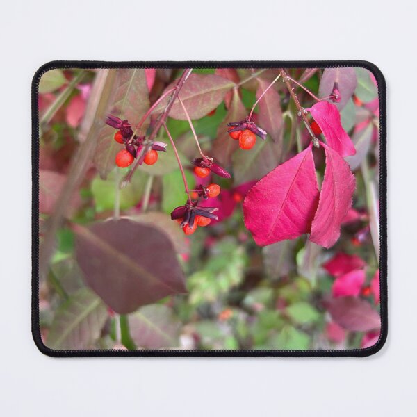 Item preview, Fall berries designed and sold by Lauracolleen3.