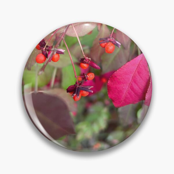 Item preview, Fall berries  designed and sold by Lauracolleen3.