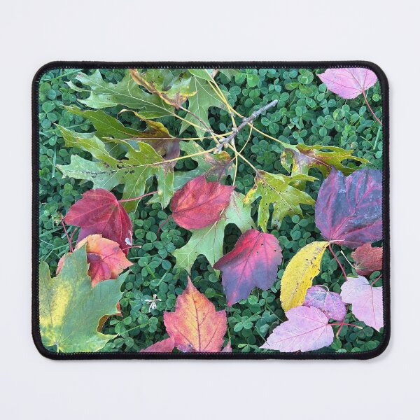 Item preview, Leaves designed and sold by Lauracolleen3.