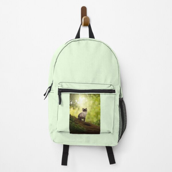 Item preview, Ragdoll cat mitted in a beautiful forest, photography , artistic designed and sold by MrGreenDragon.