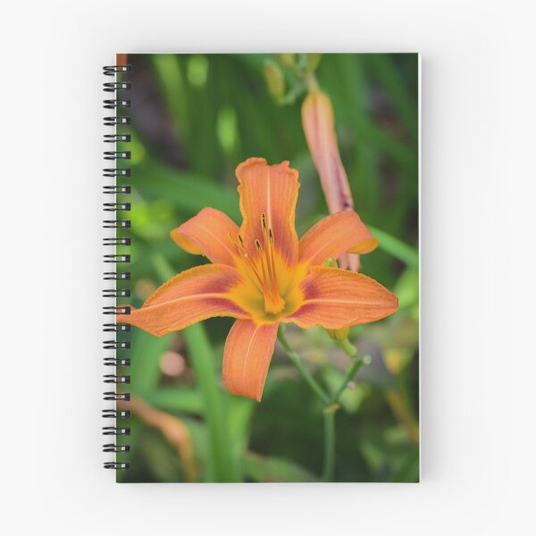 Item preview, Lirio naranja designed and sold by KPhotographyNJ.