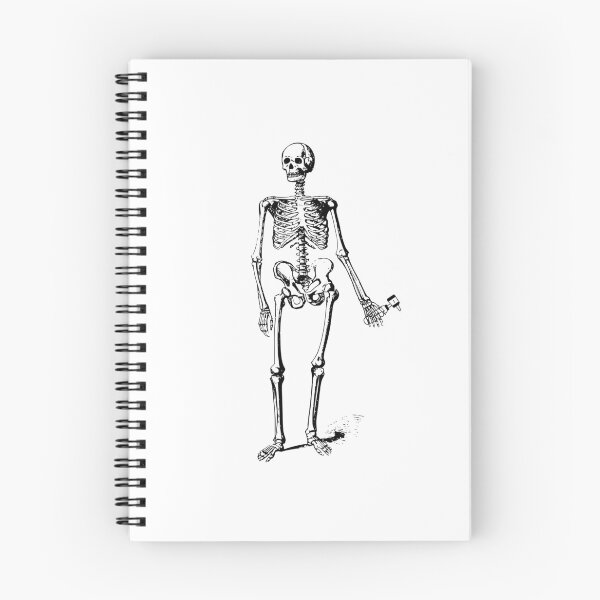 Item preview, Audiology Skeleton designed and sold by SydStot.