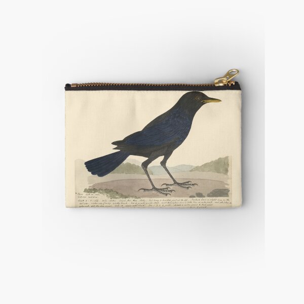 Item preview, Blue Whistling Thrush by Frederick John Shore designed and sold by Amanda1775.