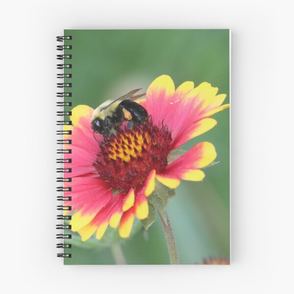 Item preview, happy bee designed and sold by Beth Tidd.
