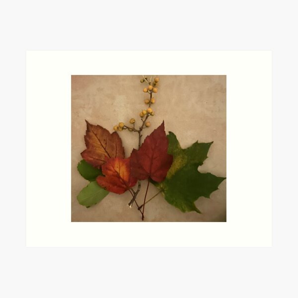 Item preview, Fall leaves and berries  designed and sold by Lauracolleen3.