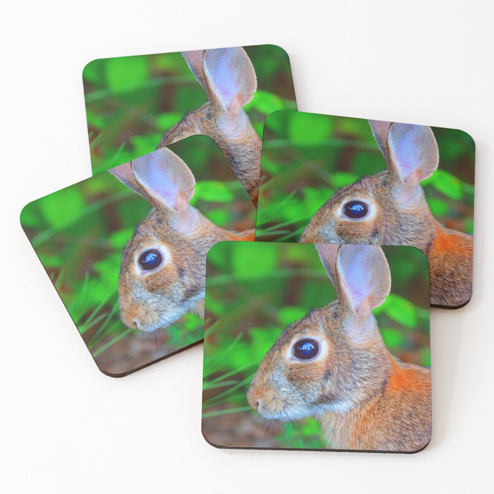 Item preview, Coasters (Set of 4) designed and sold by NatureWithX.