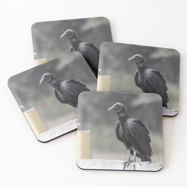 Item preview, the vulture designed and sold by ricobarinas.