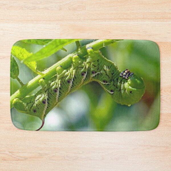 Item preview, Tomato Hornworm designed and sold by Frankie Cat Photography.
