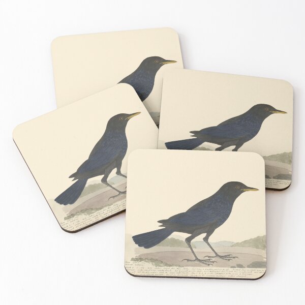 Item preview, Blue Whistling Thrush by Frederick John Shore designed and sold by Amanda1775.