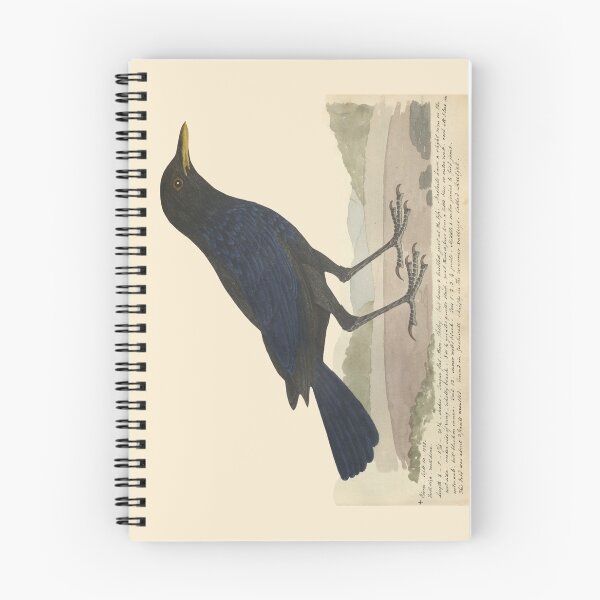 Item preview, Blue Whistling Thrush by Frederick John Shore designed and sold by Amanda1775.