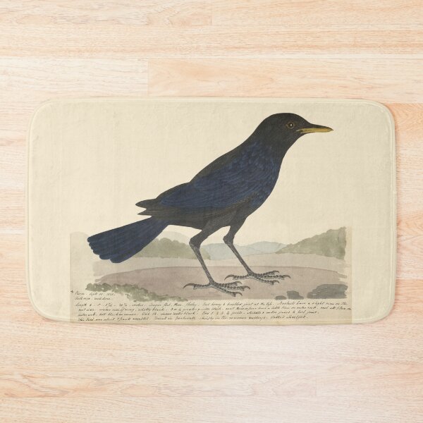 Item preview, Blue Whistling Thrush by Frederick John Shore designed and sold by Amanda1775.