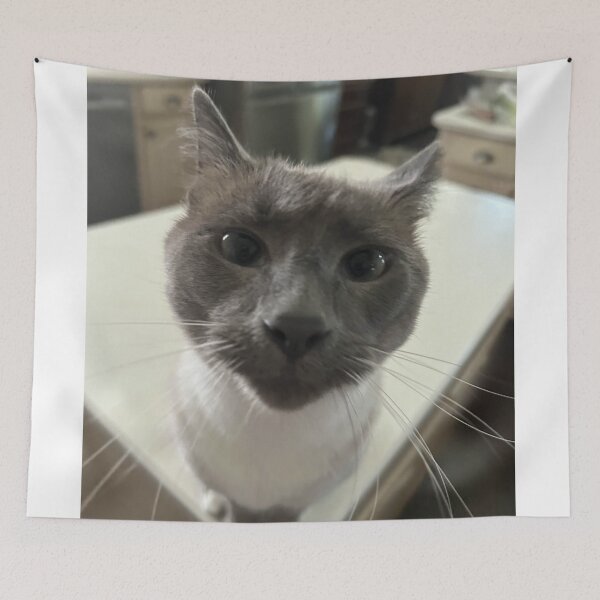 Aperçu de l'œuvre Coco le chat créée et vendue par Kikis Emporium.