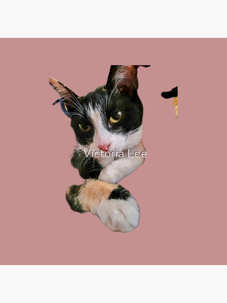 Thumbnail 4 of 4, Pillow, Duchess the Cat designed and sold by Ladyinthemitten.