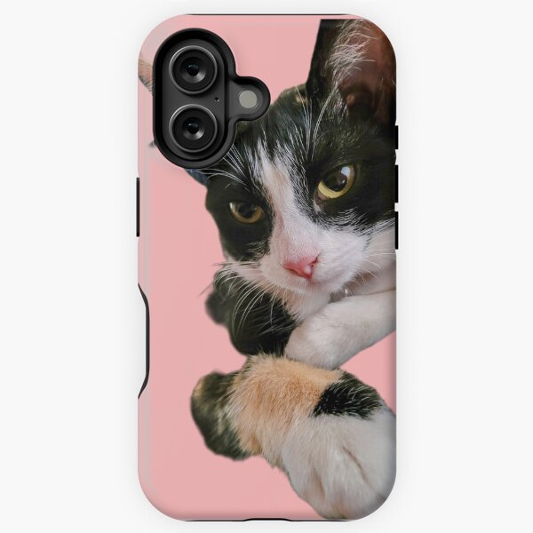 Duchess the Cat iPhone Tough Case