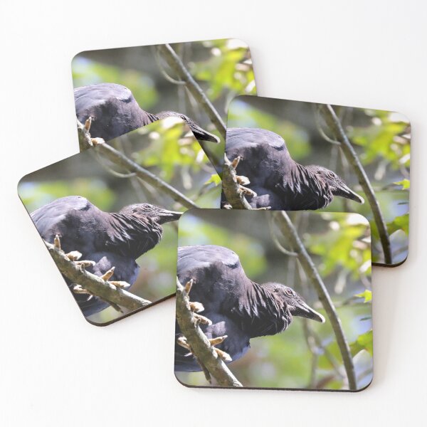 Item preview, Vulture  designed and sold by Parks and X.