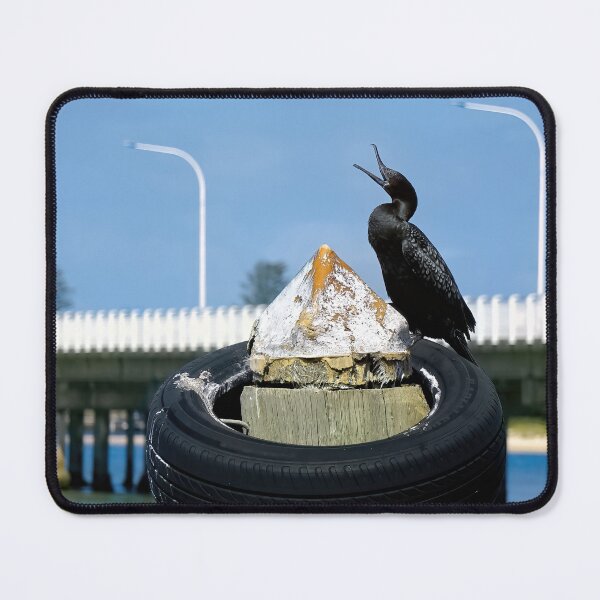 Item preview, Australian cormorant 80006 designed and sold by kevin Chippindall.