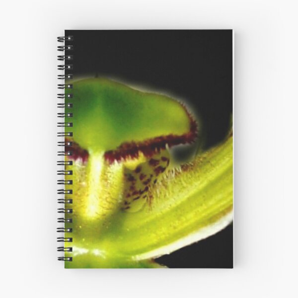 Item preview, Gangsta' Rap - Orchid Alien Discovery designed and sold by Ashley Cooke.