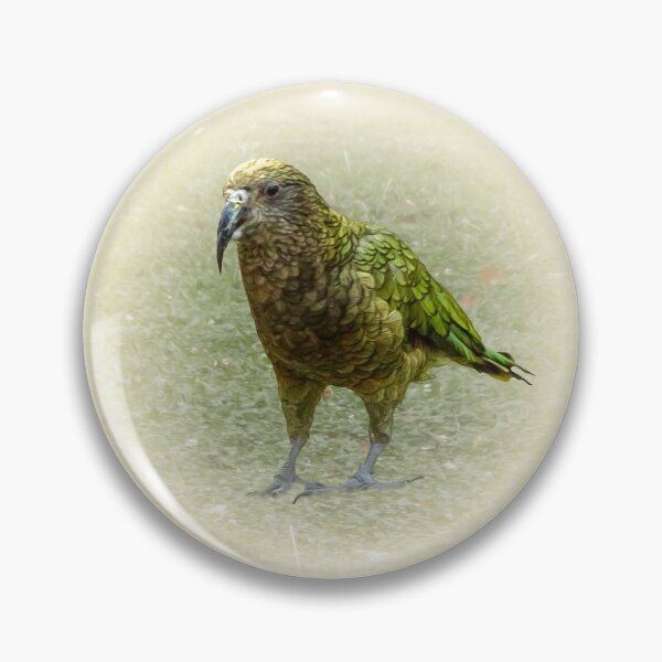 Item preview, Kea designed and sold by Guardi71.
