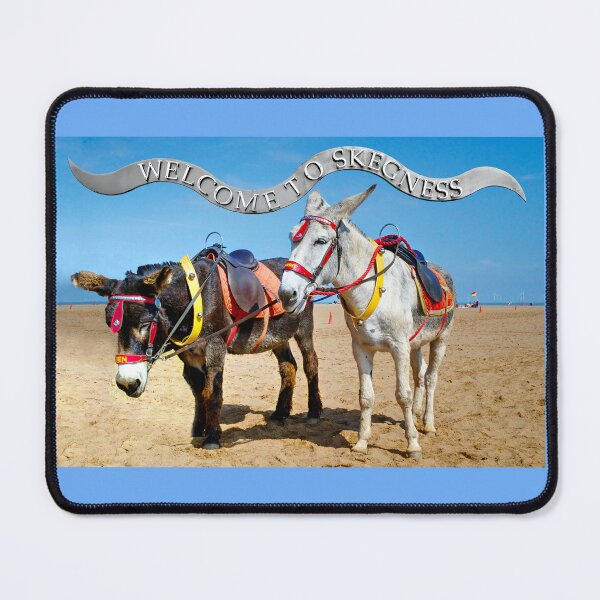 Item preview, Skegness Donkeys designed and sold by Alisonchambers2.