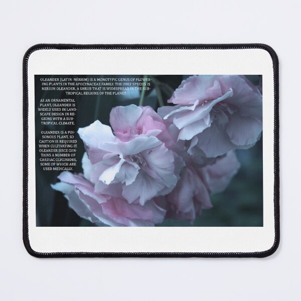 Item preview, Oleander designed and sold by Kacharava.