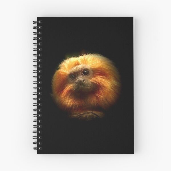 Item preview, Golden Lion Tamarin designed and sold by Guardi71.