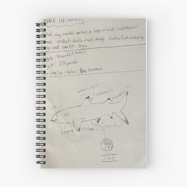 Item preview, shark introduction designed and sold by nicedayBNE.