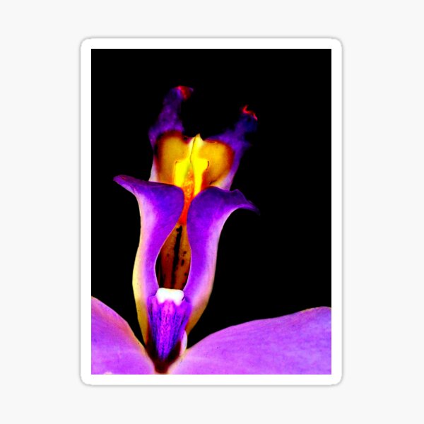 Slightly Horny - Orchid Alien Discovery Sticker