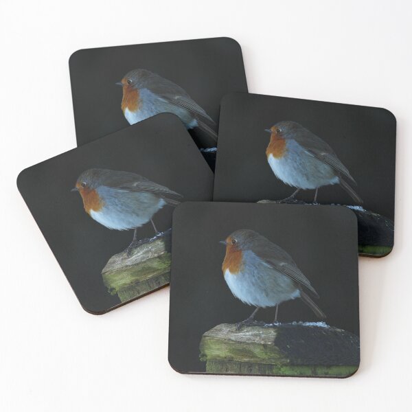 Item preview, European Robin Inch Island Winter designed and sold by eddiebarronshop.
