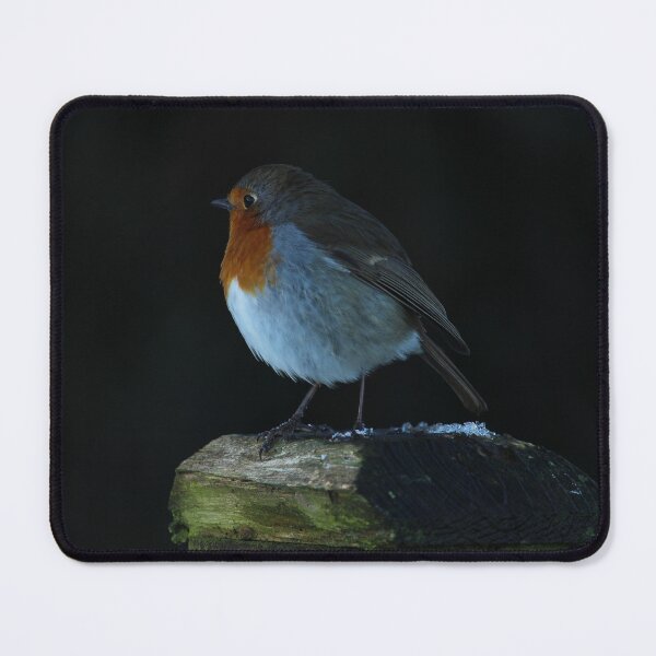 Item preview, European Robin Inch Island Winter designed and sold by eddiebarronshop.