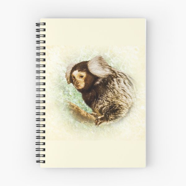 Item preview, Marmoset designed and sold by Guardi71.
