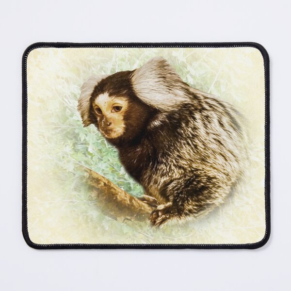 Item preview, Marmoset designed and sold by Guardi71.
