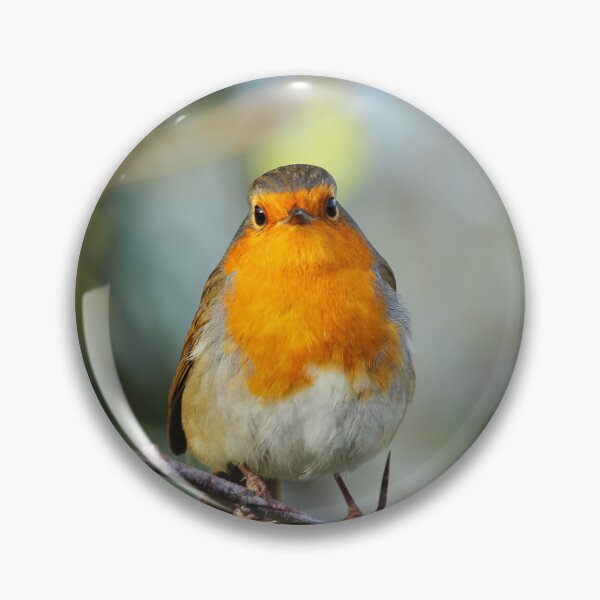 Item preview, European Robin Donegal Thorns designed and sold by eddiebarronshop.