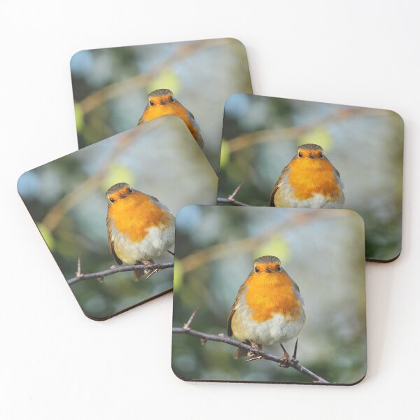Item preview, European Robin Donegal Thorns designed and sold by eddiebarronshop.