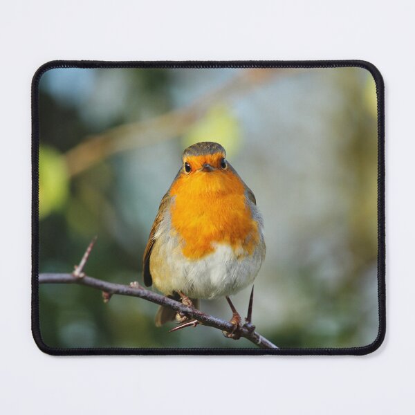Item preview, European Robin Donegal Thorns designed and sold by eddiebarronshop.