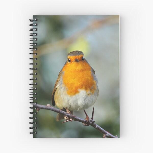 Item preview, European Robin Donegal Thorns designed and sold by eddiebarronshop.