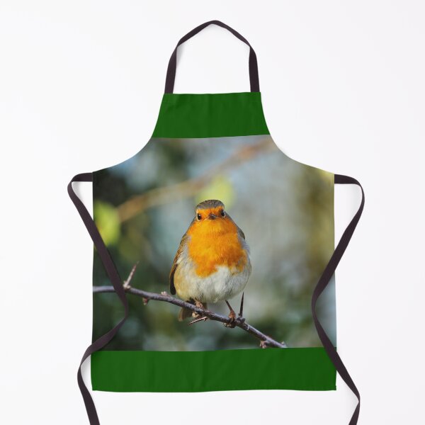 Item preview, European Robin Donegal Thorns designed and sold by eddiebarronshop.