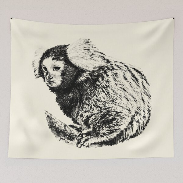 Item preview, Marmoset designed and sold by Guardi71.